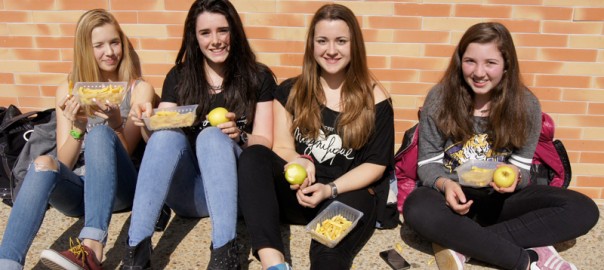Lycée Bayonne Largenté - Opération Frites - Pommes 2014