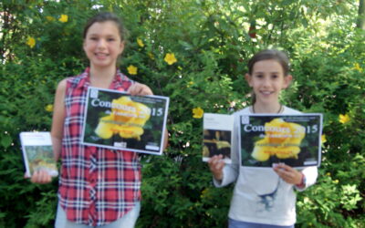 Concours littéraire de l’AMOPA