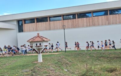 Cross solidaire